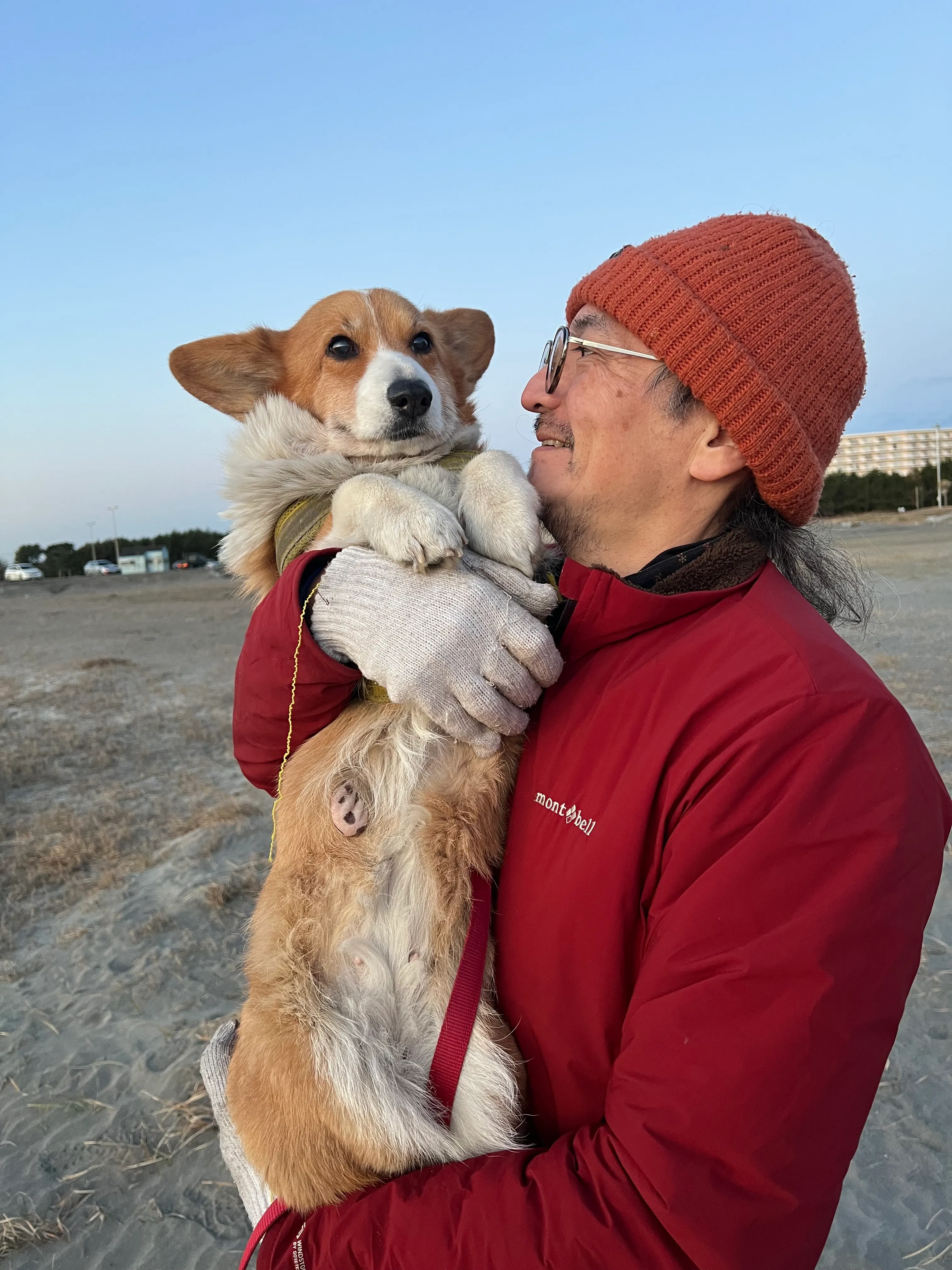 代表取締役 新野隆憲